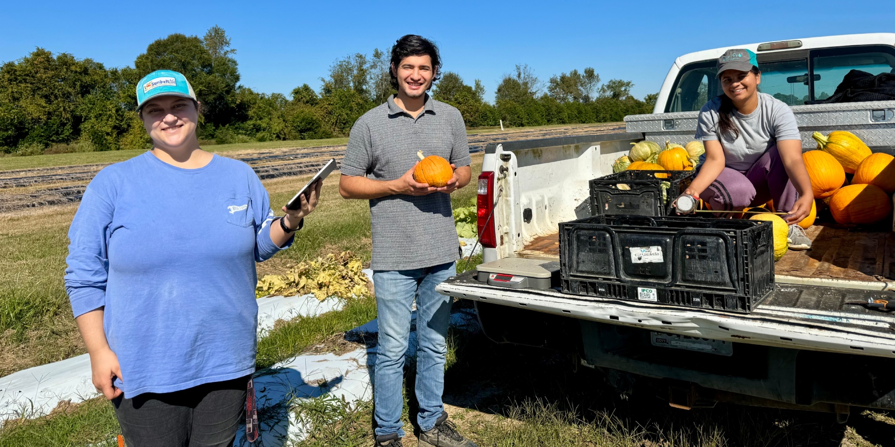 Team members in a field holding pumpkins.